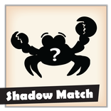 Match the right shadow