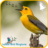 Bird Ringtones 2018 / Latest Bird Sounds 2018