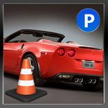 Car City Parking