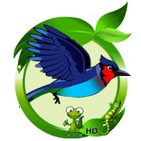 Bird Simulator
