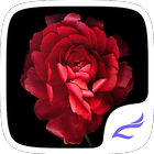 Theme for Nubia Z9 icon