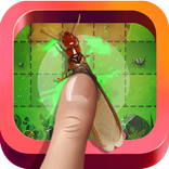 Ant Smasher!