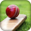 Ball Bat Score APK