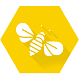 Queen Bee Rearing