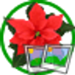 Christmas Pack 09