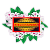 FM LA PRIMAVERA FORMOSA APK
