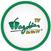 Wazobia TV APK