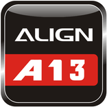 ALIGN A13 GST