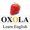 Irregular Verbs in English APK
