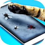 Flies for cat prank