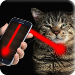 Laser for cats