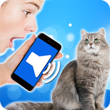Translating Cat