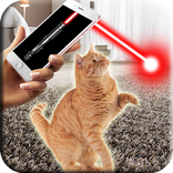 Laser für Katze