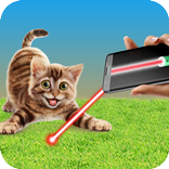 Laser game for cats!