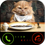 Rozmowa telefoniczna od kota