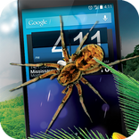Realistic spider on screen prank