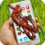 snake inside phone