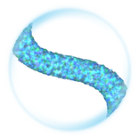 SMS Sieve
