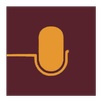 Voice Search in Phone APK