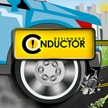 Conductor Designado