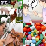 ViroAfrica
