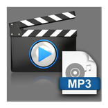 Video Format Changer
