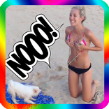 Videos Top