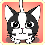 my cat
