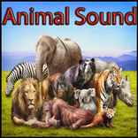 Animal Sounds