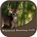 Whitetail Deer Calls APK