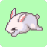 Catch de Bunny