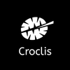 Сroclis icon