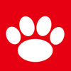 Cat Studio icon