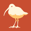 Dawdlebird Games icon
