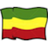 Amharic News