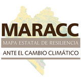 MARACC APK
