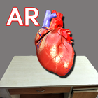 AR Human Heart– A glimpse icon