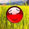 Red Ball Adventure APK
