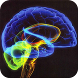 Mind Mender