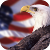 American Eagle Wallpapers APK