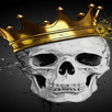 Kings cup: JUST DRINK APK
