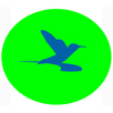TravelGo APK