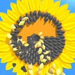 Sunflower Inc