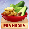 Minerals & Antioxidants Foods APK