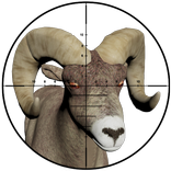 Sniper Hunting - 3D Shooter