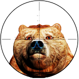 Sniper Hunting Animals 3D