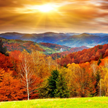Autumn Live Wallpaper