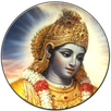 হিন্দু শাস্ত্র  ও কৃষ্ণ ভজন APK