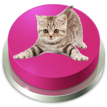 Cat Button | Kitten sound effe