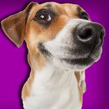”Dog and Kega